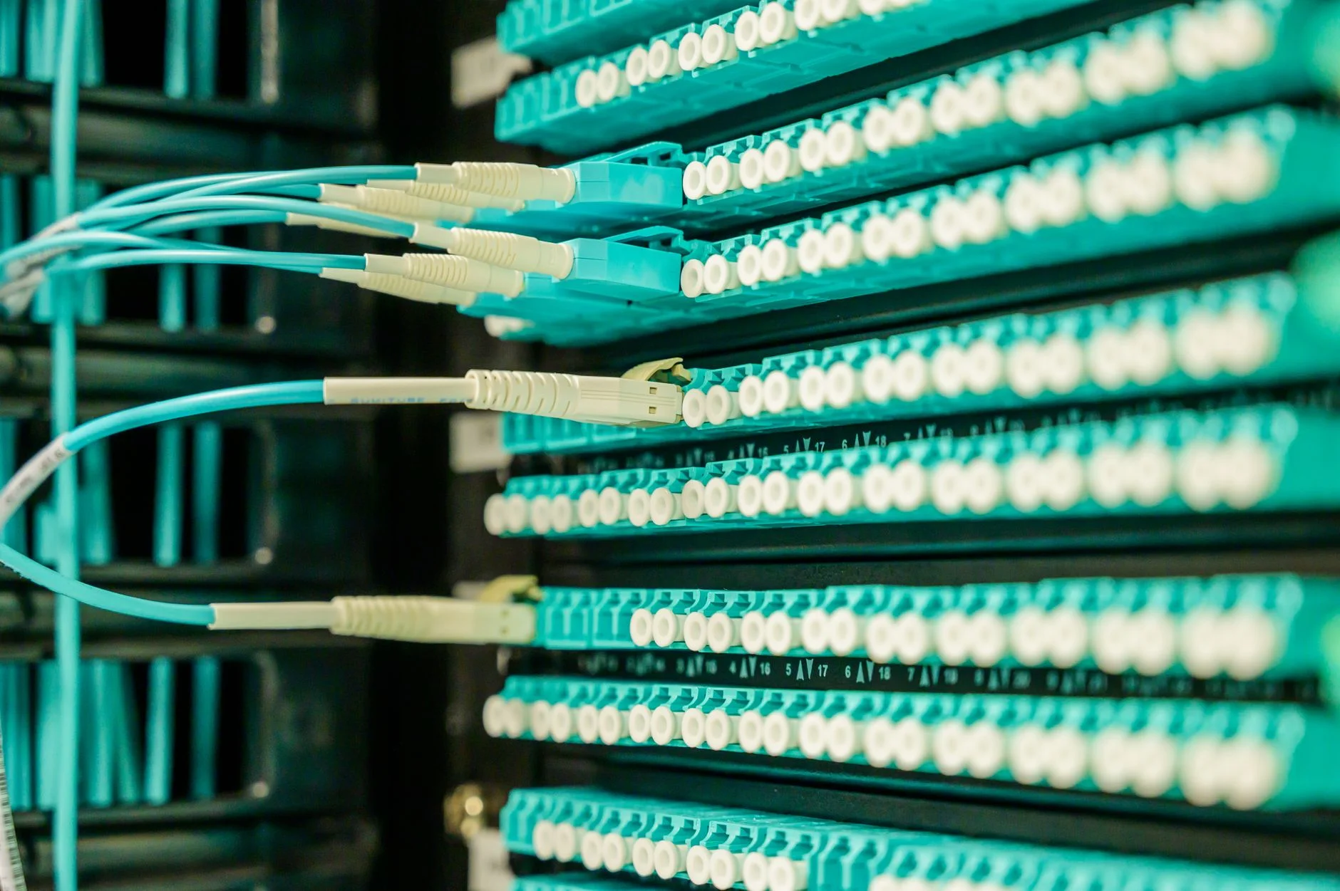 Close-up of a network switch with patch cables plugged into organized ports